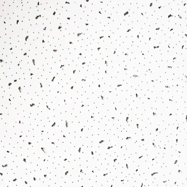 ceiling hatch door